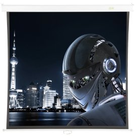 Экран Cactus 220x220 см MotoExpert CS-PSME-220x220-WT 1:1 настенно-потолочный рулонный белый (моторизованный привод)