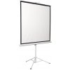 Экран 180x180см Digis Kontur-D DSKD-1105 1:1 напольный рулонный