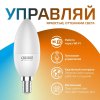 Лампа Светодиодная Gauss Smart Home DIM CCT E14 C37 5 Вт
