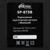 Портативная колонка RITMIX SP-925B черный