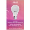 Лампа Светодиодная Gauss Smart Home DIM+CCT E27 A60 8.5 Вт 1/10/100