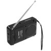 Радиоприемник SOUNDMAX SM-RD2116 черный