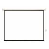 Экран с электроприводом Lumien Eco Control 229x305 см (раб. область 221х297 см) Matte White черная кайма по периметру 4:3