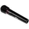 Микрофон Ritmix RWM-100 черный
