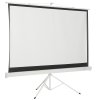 Экран Cactus 104.4x186см Triscreen CS-PST-104x186 1:1 напольный рулонный белый
