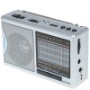 Радиоприемник портативный Hyundai H-PSR160 серебристый USB microSD
