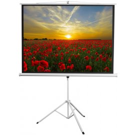 Экран Cactus 138x220см SIlverMotoExpert CS-PSSME-220X138-DG 16:10 настенно-потолочный рулонный темно-серый (моторизованный привод)