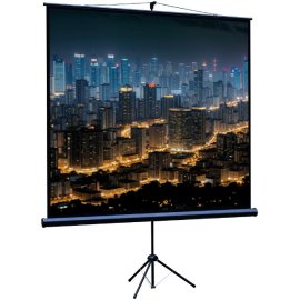 Экран Cactus 220x220см MotoExpert CS-PSME-220x220-WT 1:1 настенно-потолочный рулонный белый (моторизованный привод)