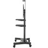 Стойка для телевизора с кронштейном ONKRON TS1881 50"-86", мобильная, белый