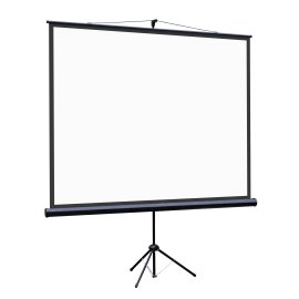 Экран Cactus 160x160см TriExpert CS-PSTE-160x160-BK 1:1 напольный рулонный