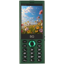 Мобильный телефон BQ 2842 Disco Boom черный