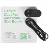 Умная колонка Sber SberBoom, 40Вт, стандартная, 1 динамик, Мультирум, Стереопара, Wi-Fi, Bluetooth 5.0, Салют, черный