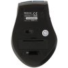 Мышь беспроводная Defender Accura MM-365 синий, 1600 dpi, радиоканал, USB, кнопки - 6