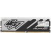 Оперативная память Apacer Panther RGB, DDR5, 16GB (1x16GB), 6000 MHz, CL40, с радиатором, черно-серый, RGB