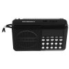 Радиоприемник SOUNDMAX SM-RD2116 черный