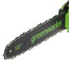 Цепная пила аккумуляторная GreenWorks GD24CS30K2, 24V, 30см, бесщеточная, c АКБ 2 А·ч и ЗУ (2007007UA)
