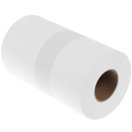 Бумага Cactus CS-LPA3120250 A3/120г/м2/250л./белый для лазерной печати