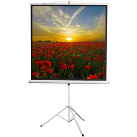 Экран Cactus 150x150см Motoscreen CS-PSM-150x150 1:1 настенно-потолочный рулонный белый (моторизованный привод)