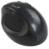 Мышь беспроводная Genius Ergo 8300S черный, 1600 dpi, радиоканал, USB, кнопки - 7