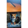 Коврик для мыши Cactus Corgi 300x250x3мм (CS-MP-D13M)