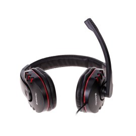 Компьютерные гарнитуры